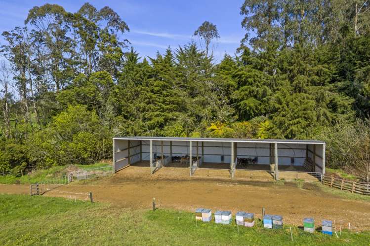 95 Mairoa Road Piopio_15