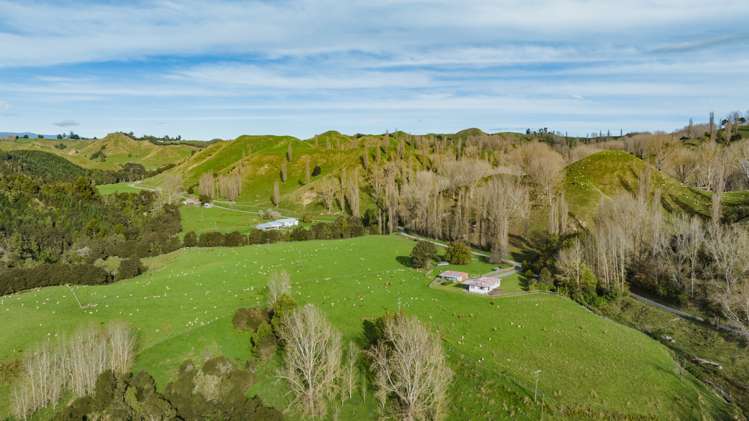 95 Marshall Road Rangiwahia_19