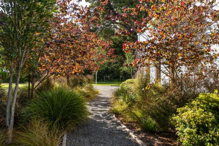 19 Orchard Road Greytown_21