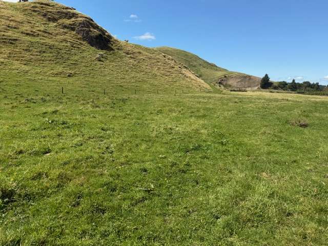 . Tamaki East Road Dannevirke_2