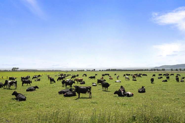 145 Campbells Road Opiki_18