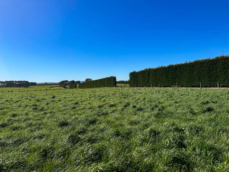 793 Edendale Woodlands Highway Winton Surrounds_19