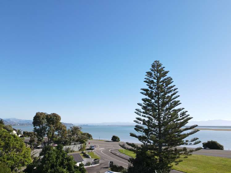 3/834 Atawhai Drive Marybank_9