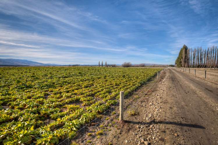 45 Mawhinney Road Omakau_0