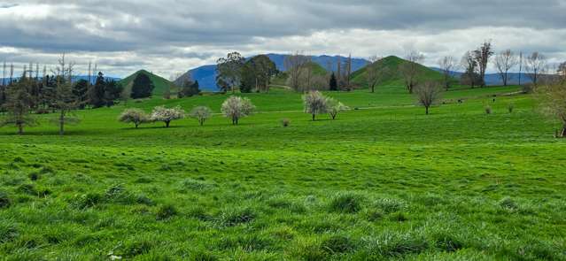 83 Brett Road Rerewhakaaitu_3