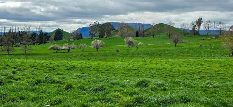 83 Brett Road Rerewhakaaitu_3