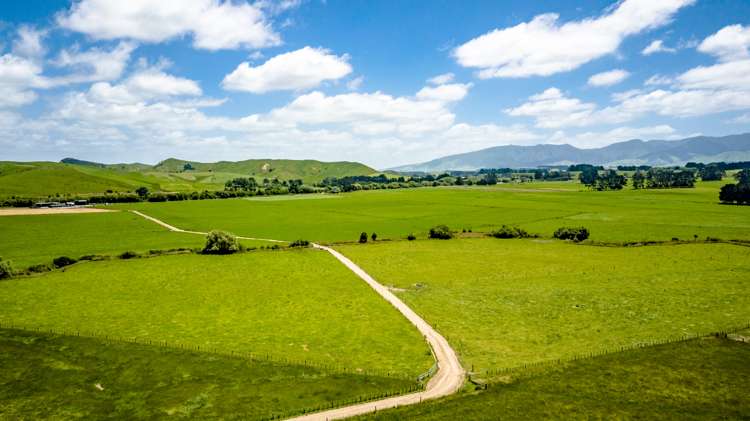 189 Gaisford Road Kumeroa_3