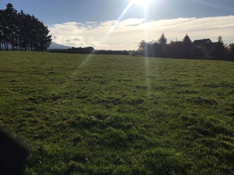 311 Opunake Road Cardiff_34