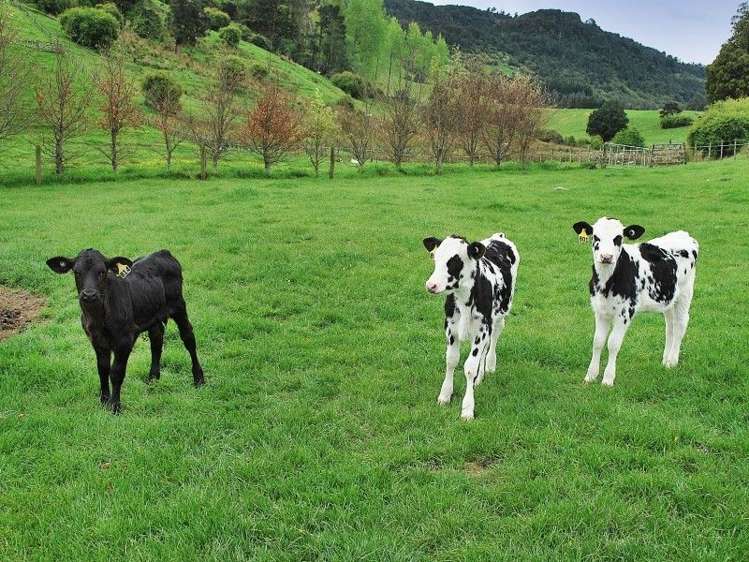 428 West Road Mauriceville_27