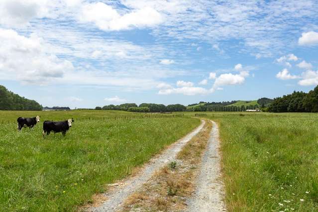 Lot 6 Streamlands Swamp Road Kaipara Flats_1