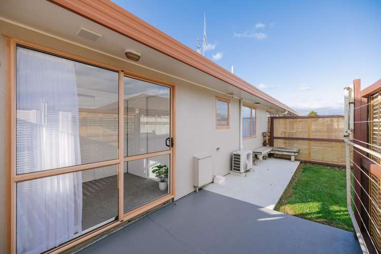 6 Foxtail Fern Kelvin Grove_15