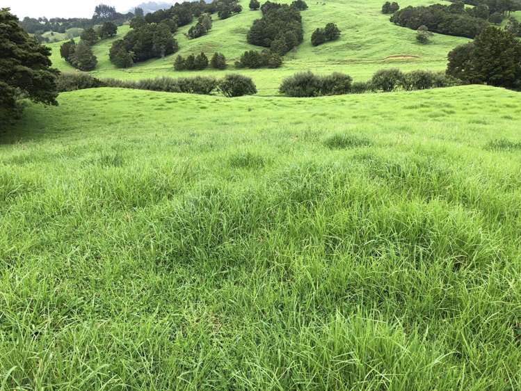 145 Bint Road Maungakaramea_10