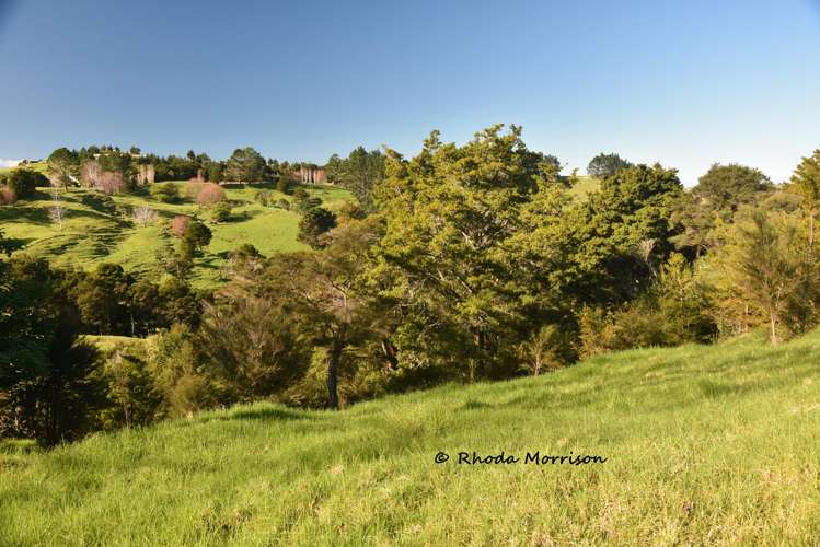 330 Franklin Road Paparoa_39