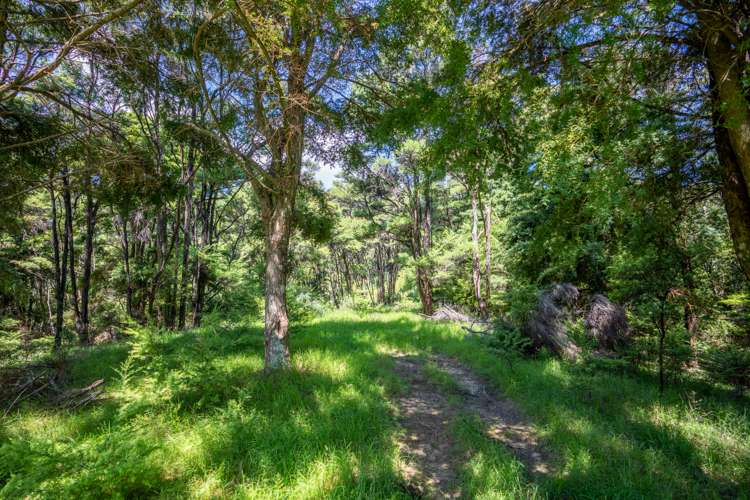 182 Nook Road Parua Bay_33