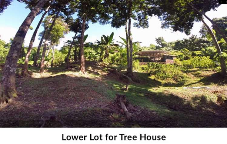 Address withheld Waidroka Bay_6