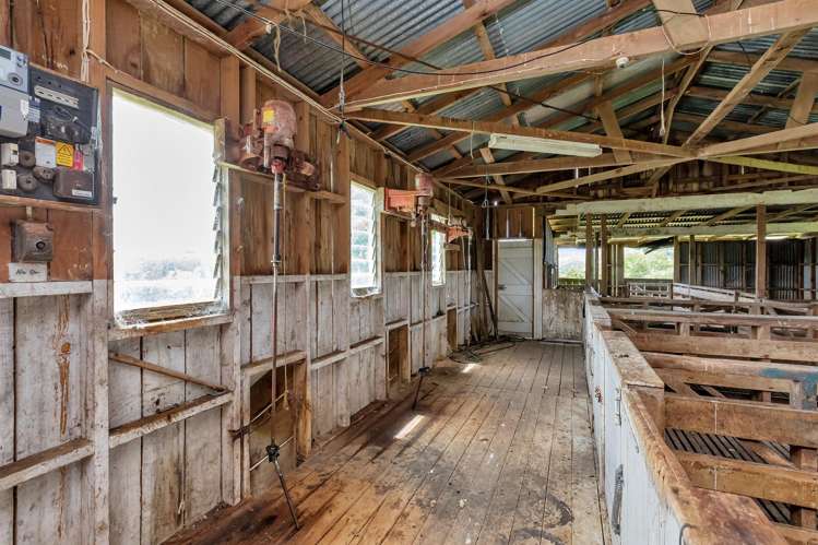 Pipiwai Road Purua_9