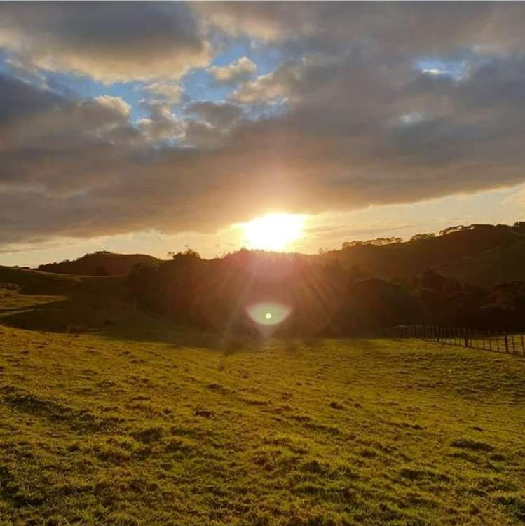 1093 Run Road Wellsford_43