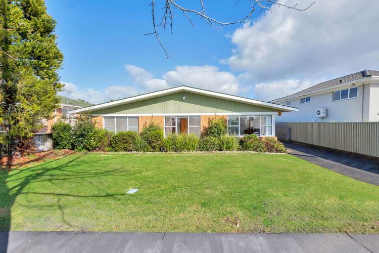 131 Elliot Street Pahurehure_17