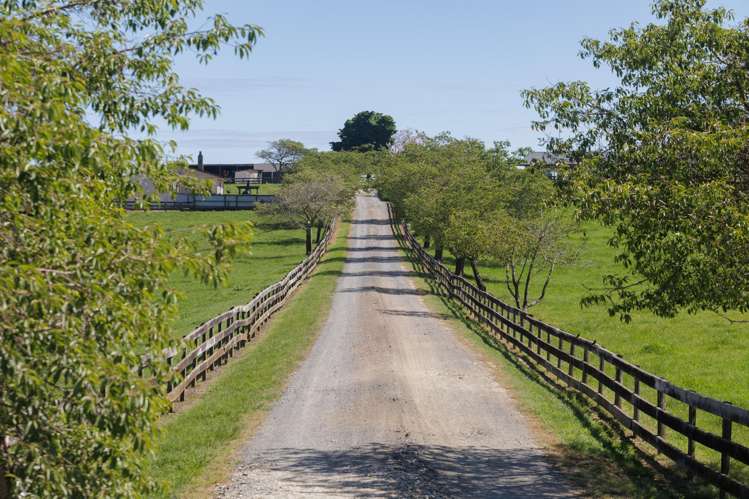 254 Muir Road Te Awamutu_15