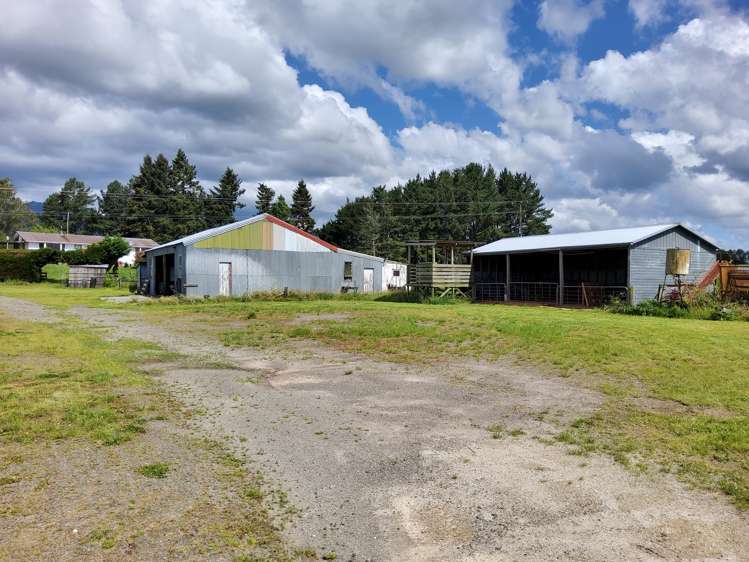 4980 Galatea Road Murupara Surrounds_17