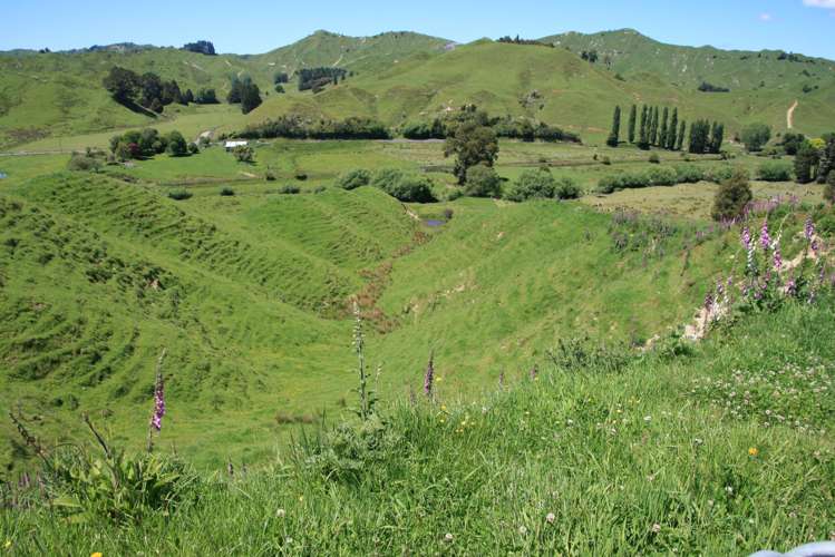 6753 Ohura Road Ruapehu-King Country Surrounds_5