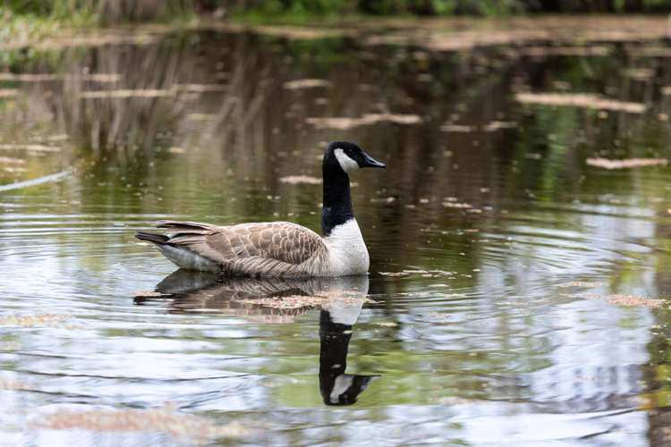 60 Robinson Road Coatesville_17