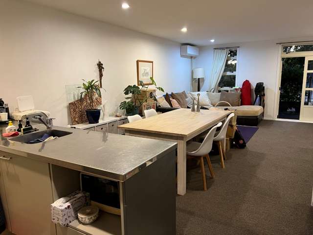 2/2 Cawley Street Ellerslie_4