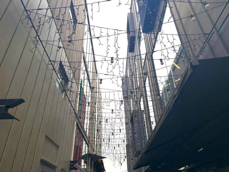 130 Ponsonby Road Grey Lynn_3