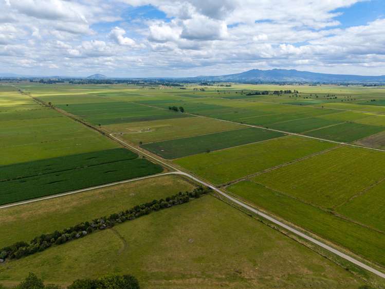 251 Collins Road Temple View_3