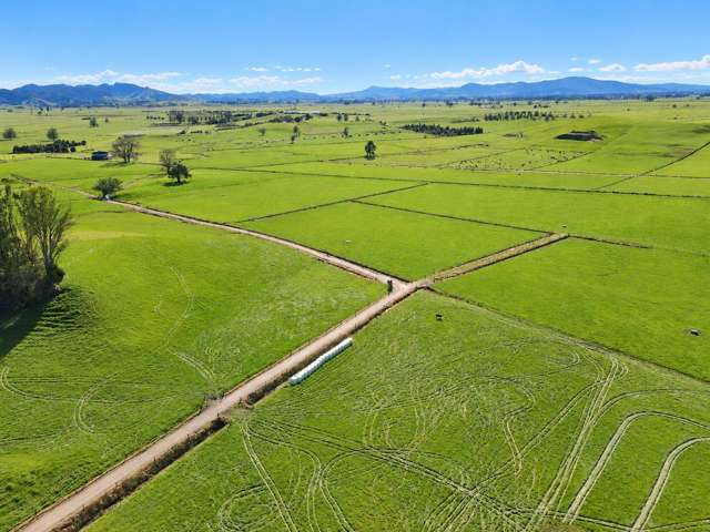 291 Waring Road Taupiri_4