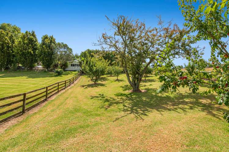 786 South Head Road South Head_20