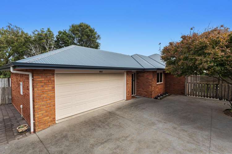 152c King Street Whakatane_14