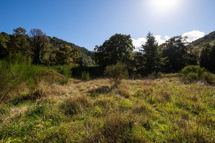 Section 16 Upper Buller Gorge Road Murchison_9