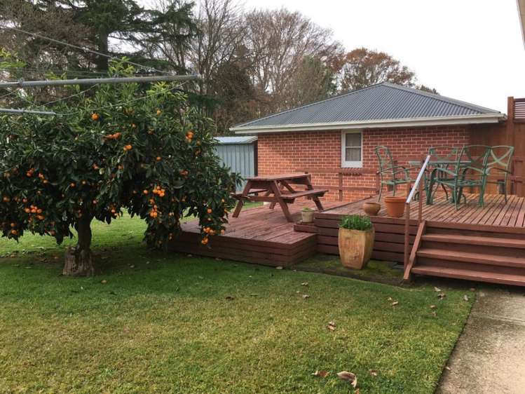 6 Fitzgerald Avenue Matamata_3