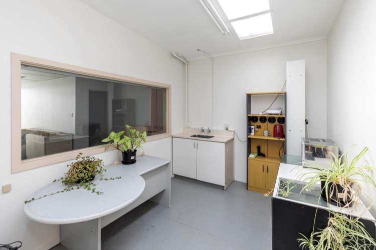 124F Wordsworth Street Sydenham_8