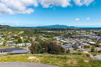 107 Kakariki Grove_1