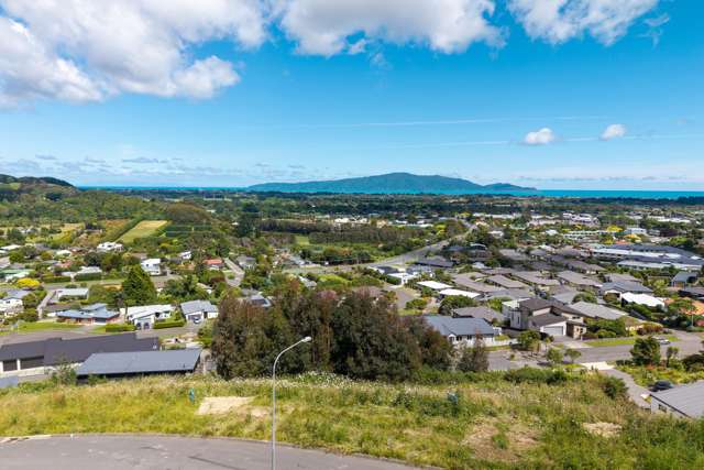 107 Kakariki Grove Waikanae_1