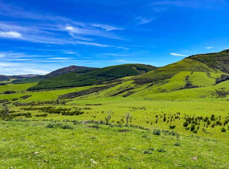 194 Beaumont Station Road Ohai_0