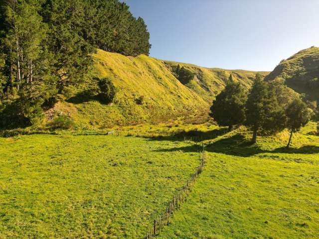 Lot 1, Longacre Road Okoia_1