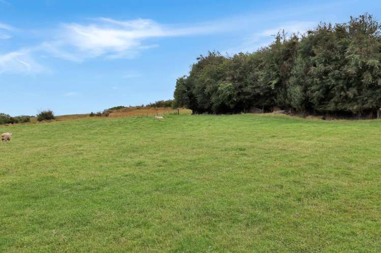 15 Sinclair Avenue Nightcaps_19