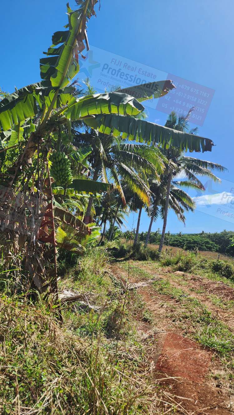 Address withheld Labasa_34