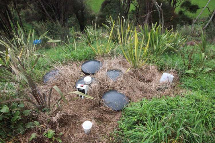 65 Waikupa Road Okoia_10