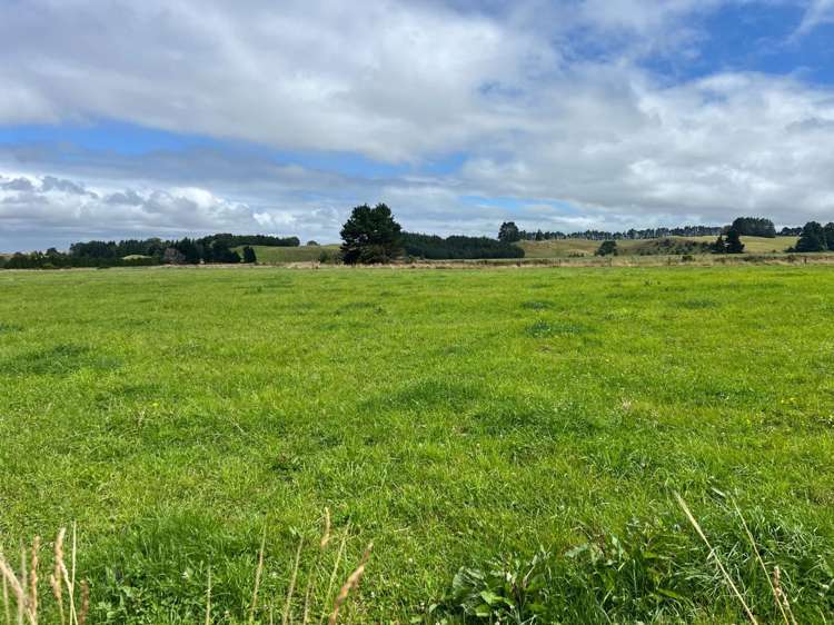 3/81 Gundries Road Norsewood Tararua Rural Property For Sale