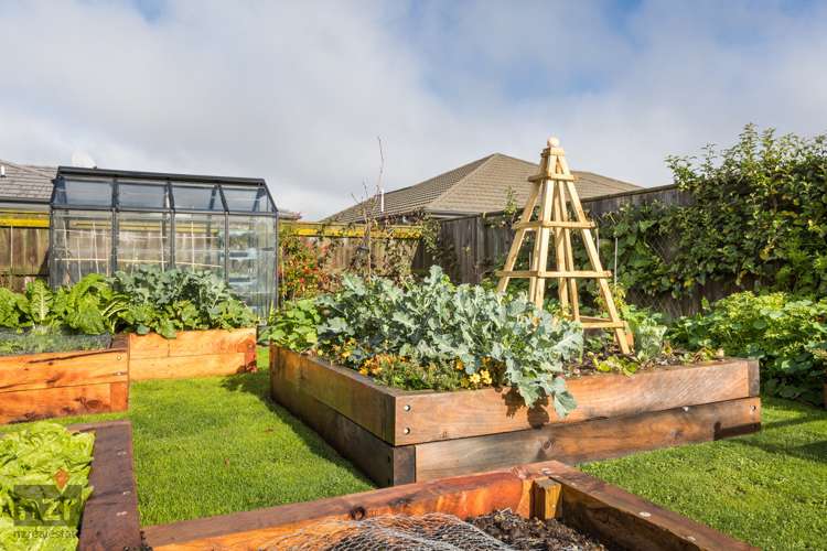 1 Cherry Place Feilding_17