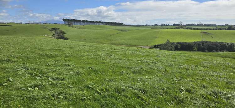 1028 Main North Road Onaero_21