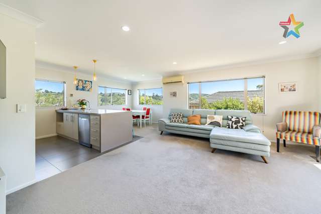 45 Speldhurst Grove Stokes Valley_1