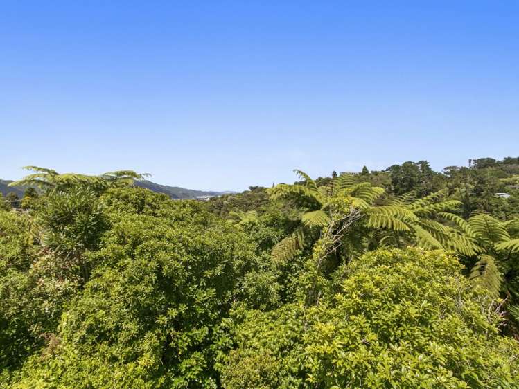 13 Levin Grove Kelson_14