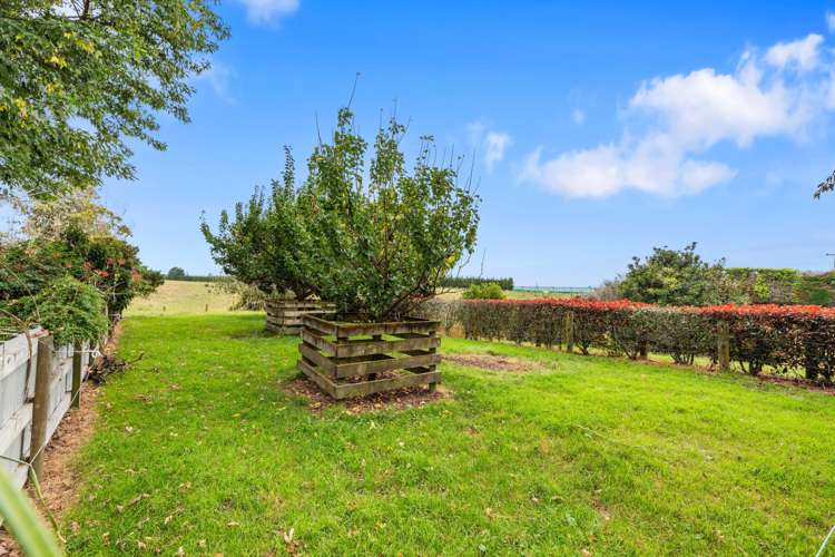 178b Maniatutu Road Pongakawa_23