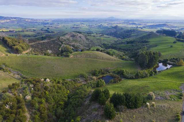 90 Tirohanga Road Hauraki Surrounds_4