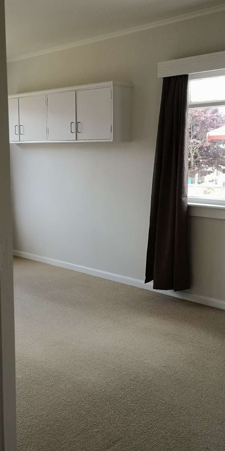 22 Nixon Street Hamilton East_6